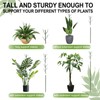 Vocray Plant Support Stakes for Indoor Plants,Trellis for House Potted