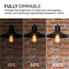 HUDSON BULB CO. Vintage LED Edison Light Bulbs, 60W Equivalent,
