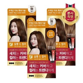 Elastin Salon de Color Hair Dye Natural Brown 100g x 3 packs / 엘라스틴 살롱드컬러 염색약 자연갈색 100g x 3개
