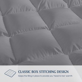 Blue Ridge Home Fashions Comforter Breathable Microfiber Duvet Insert, Summer Cooling Winter Warm Reversible Down Alternative Quilt Comforter for All Season, King, Platinum