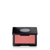 Makeup Forever (현대백화점)메이크업포에버 아티스트 블러쉬 (Hyundai Department Store) MAKE UP FOR EVER Artist Blush