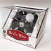 Recent Toys Brain Dice Puzzle