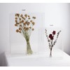 MarccTipton 16x20 Acrylic Shadow Box, Assemble Display Case, DIY Tabletop/Wall