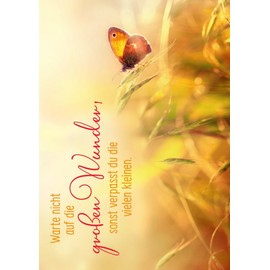 Gutsch Verlag Animal Postcard with Inspirational Saying - Don't wait for the big wonders, otherwise you miss the many small ones - Perfect for giving as a gift or collecting