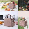 BAOWUABJ Insulation Lunch Bag, Waterproof Picnic Bag, Striped Lunch Box