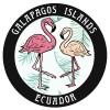 Blue Heron Two Flamingos Galapagos Islands Ecuador Car Truck Window