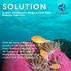 DrTim's Aquatics Reef Waste-Away Sludge Busting Solution – for Reef,