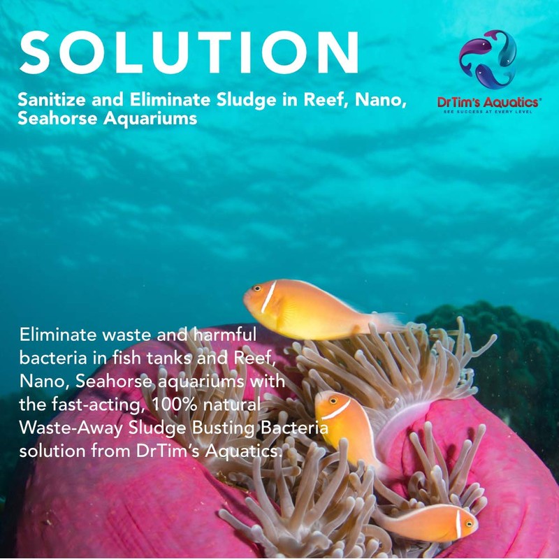 DrTim's Aquatics Reef Waste-Away Sludge Busting Solution – for Reef,