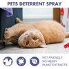 Awxfoo Cat Deterrent Spray Natural Anti Scratch & Anti Nibble