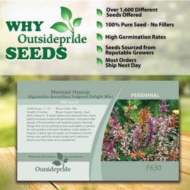 Outsidepride 100 Seeds Perennial Agastache Mexican Hyssop Fragrant Delight Flower Seed Mix for Planting