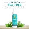 Jason Tea Tree Shampoo 12 oz