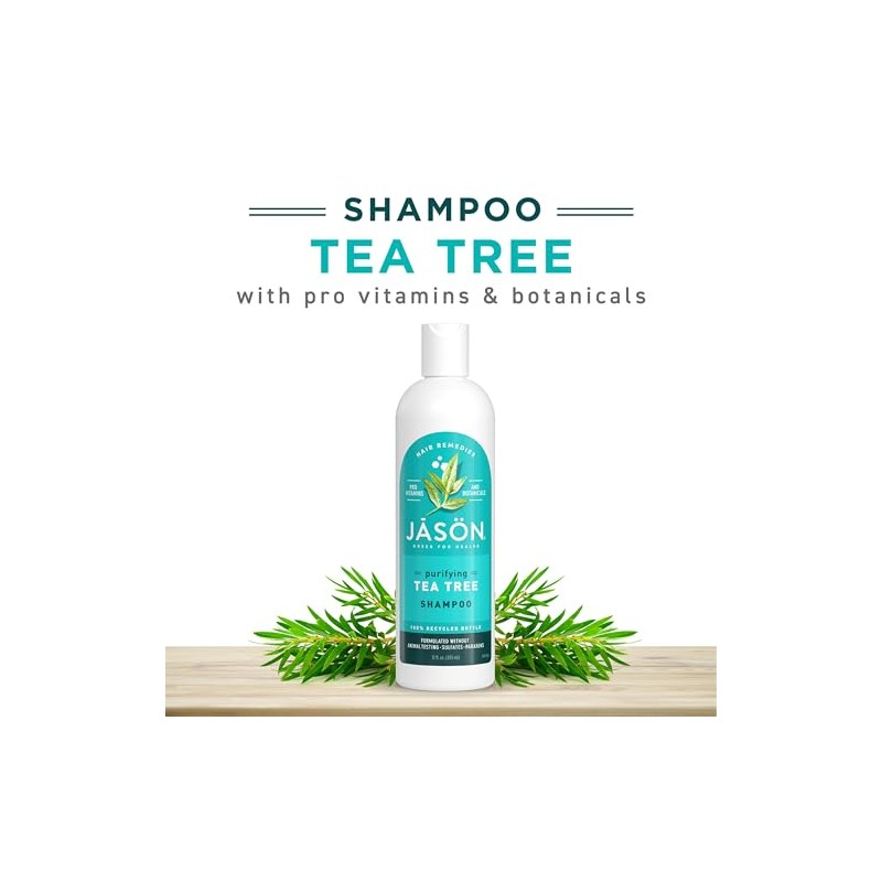 Jason Tea Tree Shampoo 12 oz