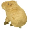 ティーエスティーアドバンス(TST ADVANCE) カピバラ ぬいぐるみ 高さ21cm 5488B