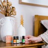 ECO. Modern Essentials Scents of Summer Essential Oil Trio, 3