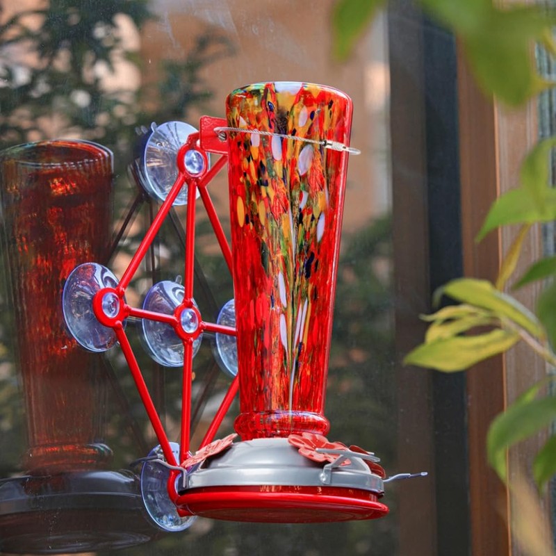 Window Hummingbird Feeder with 5 Strong Suction Cup 16 Ounces