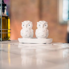 Lustige Salz- und Pfefferstreuer aus Porzellan - Freche Salzstreuer Gewürzspender - Einweihungsgeschenk Hochzeitsgeschenk Geburtstagsgeschenk für Pärchen Paare (Uhu Weiß)