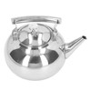Stainless Steel Teapot Tea Kettle with Removable Filter High Temperature