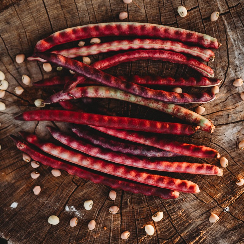 Top Pick Brown Crowder Pea/Cowpea- 50 Seeds - Heirloom &