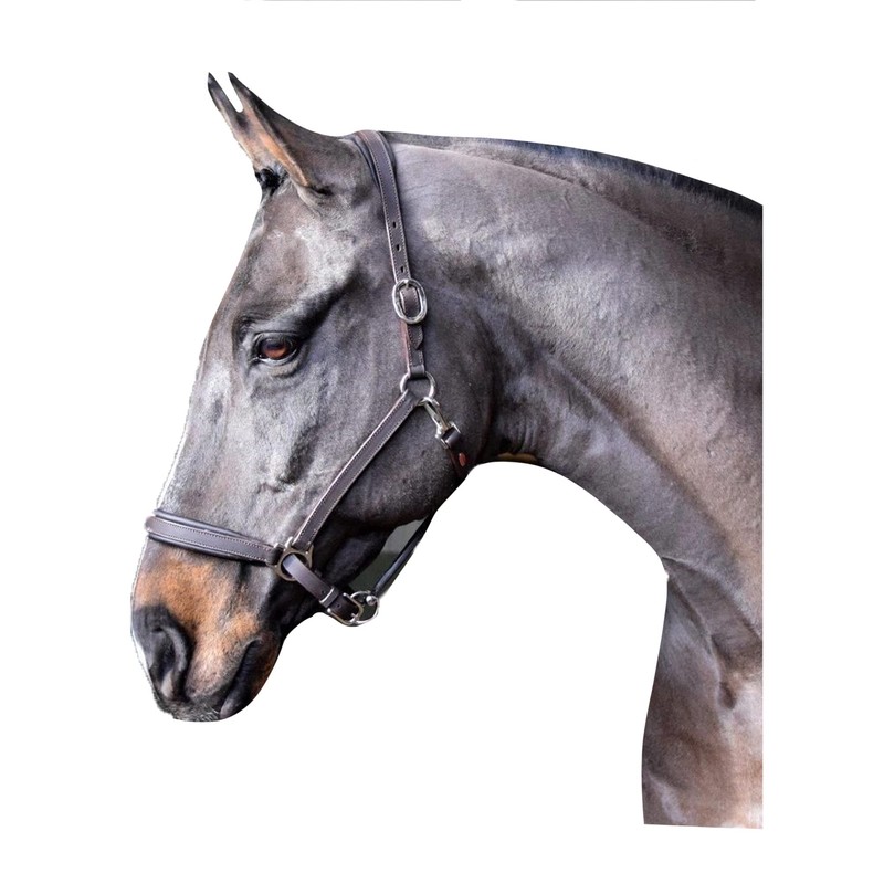 John Whitaker Ready To Ride Headcollar Black: extra full