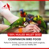 Morning Bird Hulled Millet 9 lbs – Nutritious Hulled Millet