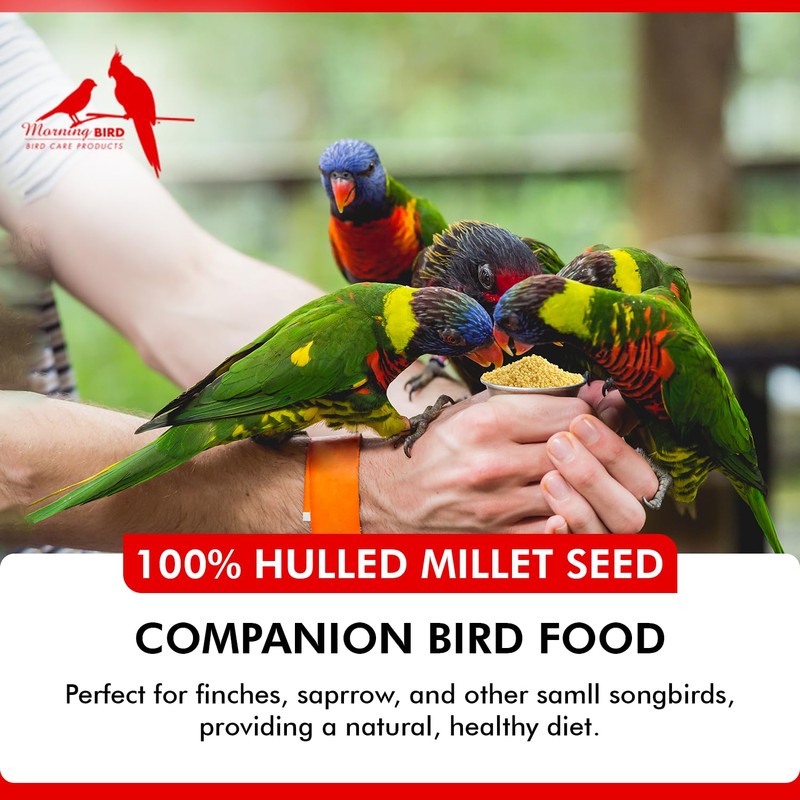 Morning Bird Hulled Millet 9 lbs – Nutritious Hulled Millet