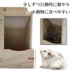 IYOIYA Hamster Automatic Feeder, Water Supply, 2-in-1 Water Tank, Cage,