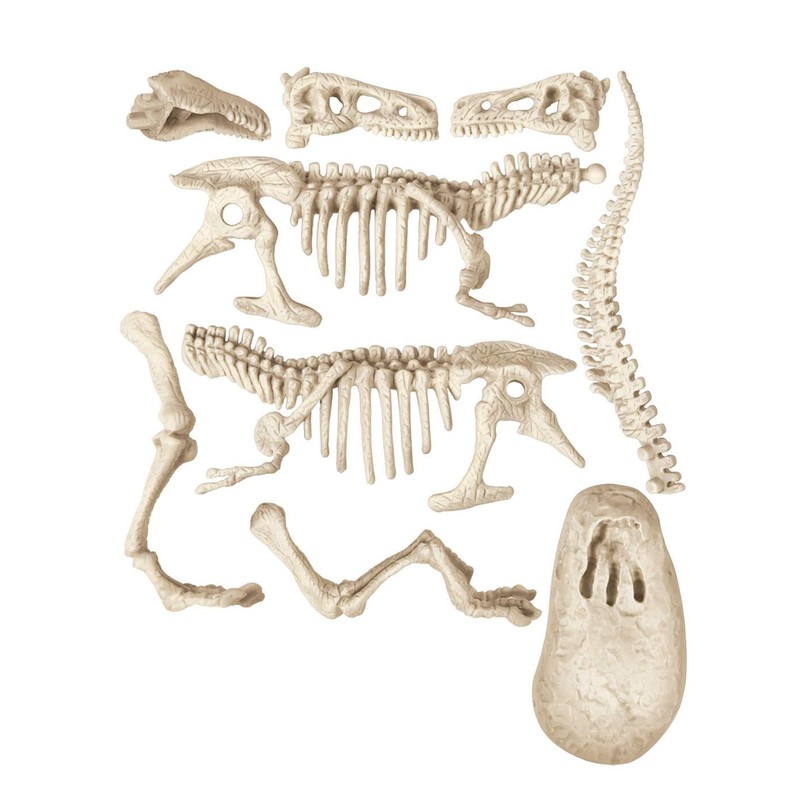 Clementoni Archeogiocando-T-Rex Bright in the Dark, Multi-Colour, 19165