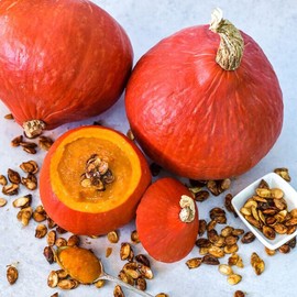 Sunshine Seeds Japanese Red Kuri Kabocha Squash seeds (20) / Uchiki Kuri / ORGANIC / RARE