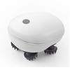 Electric Waterproof Scalp Massager for Relaxation 4 Claws Stress Relief