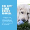 Kong Juguete para Cachorros, extra pequeño (El Color puede Variar)