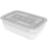 Rotho Freeze Freezer Box 3.7 L with Lid, Plastic (PP)