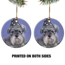 GRAPHICS & MORE Schnauzer Puppy Dog Wizard Glasses Spell Book Porcelain Holiday Christmas Tree Ornament - 2.8" (7.1 cm)