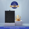 XBGG HAP602 Replacement Filter Compatible with ECOSELF Air Purifier