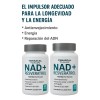 Kit Nad Resveratrol Antioxidante 60 Caps Temazcal Tlaloc