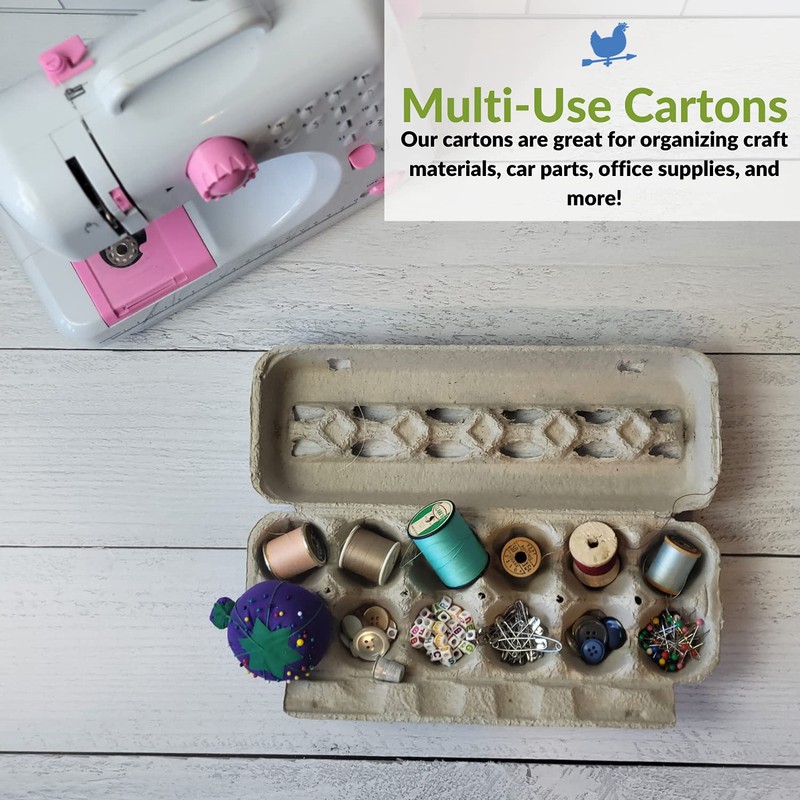 Blank 12-Egg View Top Paper Pulp Egg Carton - Bulk