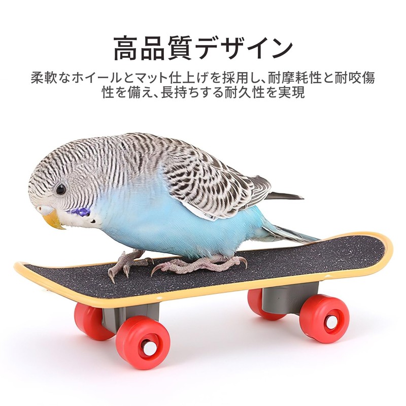 Mini Skateboard Bird Toy Pet Supplies Parrot Bird Standing Training