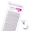FADLASH Premade Fans Eyelash Extensions 10D 0.07 Volume Lash Fans
