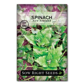 Sow Right Seeds - New Zealand Spinach Seeds for Planting - Non-GMO Heirloom Packet with Instructions to Plant an Outdoor Home Vegetable Garden or Indoors Hydroponic Growing - Heat Tolerant Herb (1)