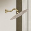 8 Inch S-Shape Curved Shower Arm with Flange Stainless Steel