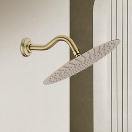 8 Inch S-Shape Curved Shower Arm with Flange Stainless Steel Shower Head Extension Replacement Pipe Arm,Wall Mounted,Brushed Gold