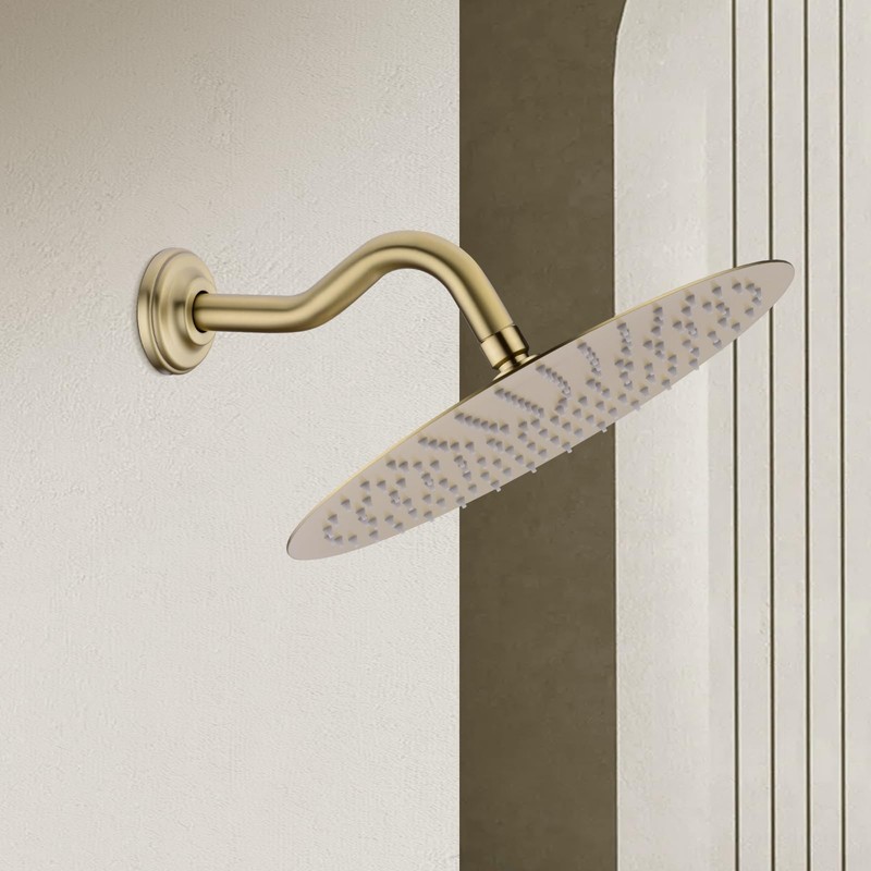 8 Inch S-Shape Curved Shower Arm with Flange Stainless Steel