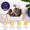 Hide & Scratch Cardboard Cat Scratcher Box & Bed -