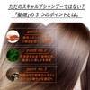 Hair Field Shampoo, 1 Week Trial Set, Scalp Shampoo, Scalp
