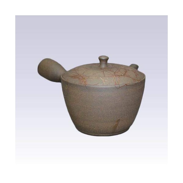 Tokyo Matcha Selection - Tokoname Kyusu teapot - SEKIRYU -
