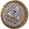 7 Month AA Medallion Reflex Funfetti Birthday Glitter Gold Sobriety