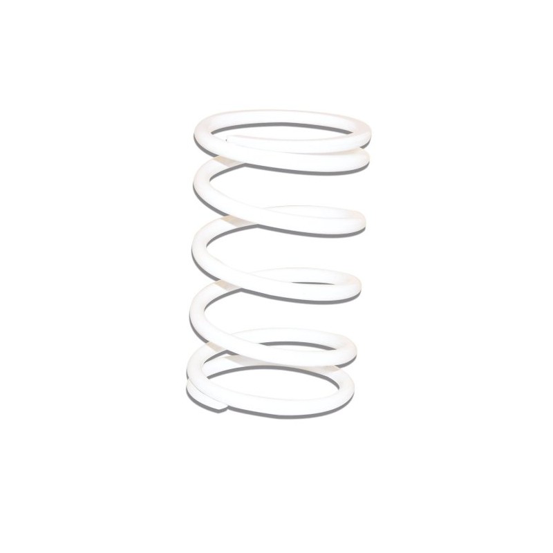 'MALOSSI "Negative Pressure Spring Ver... Strengthens for Multivar or original