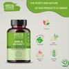Ireya Ayurveda Ireya Ayurveda Jamun Seed Capsules and Amla Extract