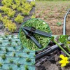 Boao 20 Pack 16mm Drip Irrigation Folding Hose Connectors End