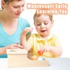 HENGYAN Edition Montessori Toys for Babies 6-12 Months Object Permanence