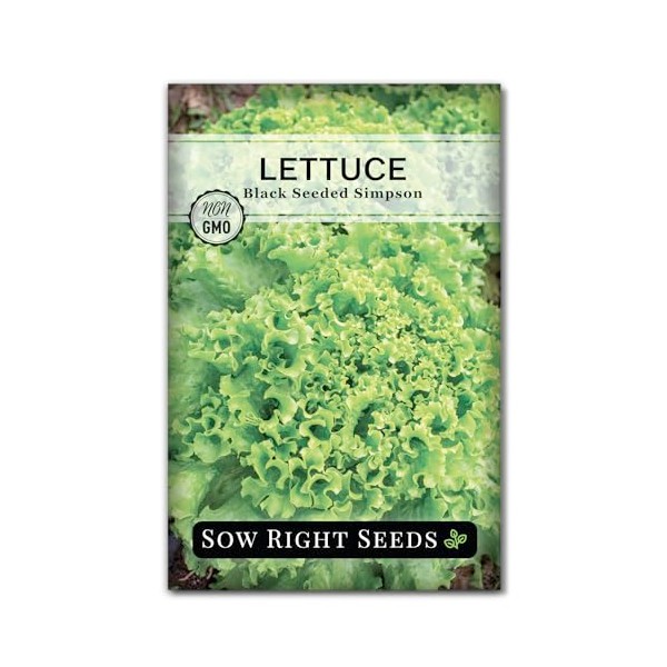 Sow Right Seeds - Black Seeded Simpson Lettuce Seeds for